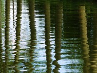 REFLETS-6